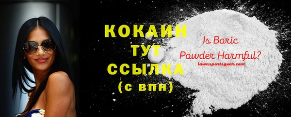 гашик Россошь