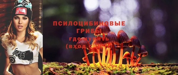 мяу мяу мука Балахна