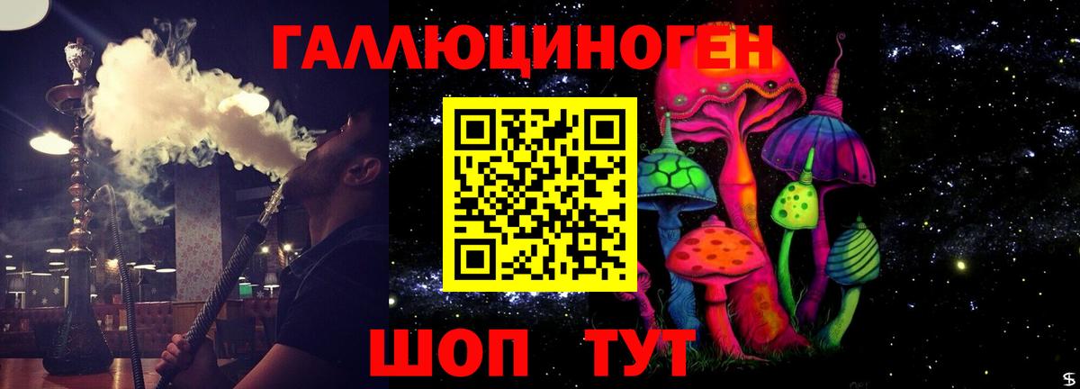 Псилоцибиновые грибы GOLDEN TEACHER  продажа наркотиков  Гулькевичи 