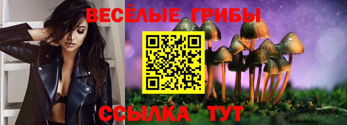 Псилоцибиновые грибы Magic Shrooms  что такое   Гулькевичи  Вход с VPN 